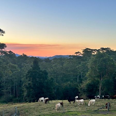 Whispering Valley Cottage Retreat Maleny Exterior foto