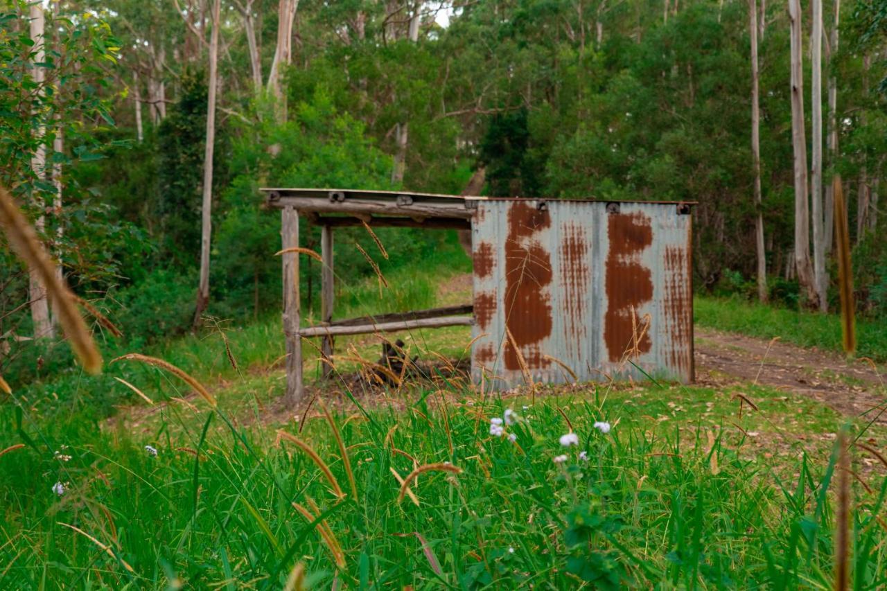 Whispering Valley Cottage Retreat Maleny Exterior foto