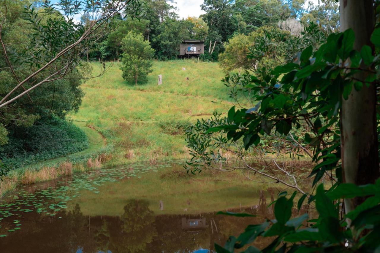 Whispering Valley Cottage Retreat Maleny Exterior foto