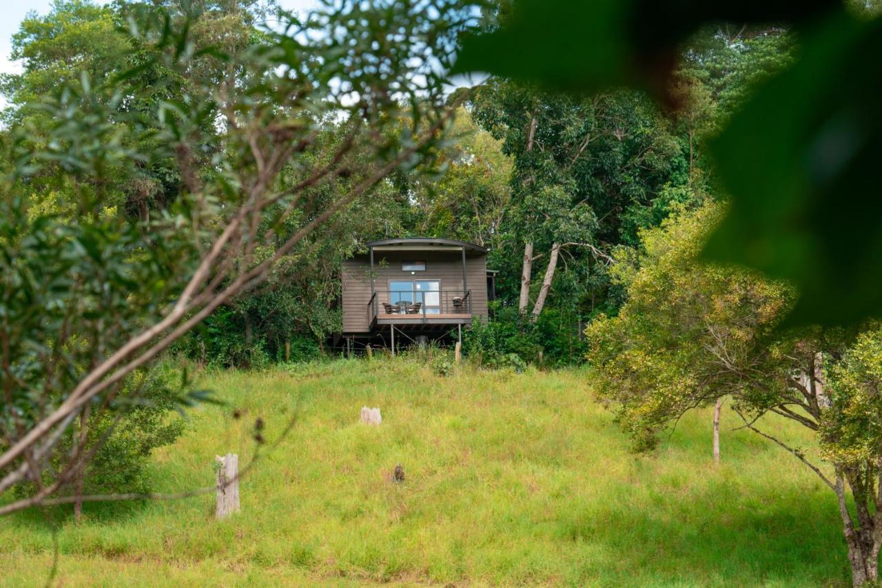 Whispering Valley Cottage Retreat Maleny Exterior foto