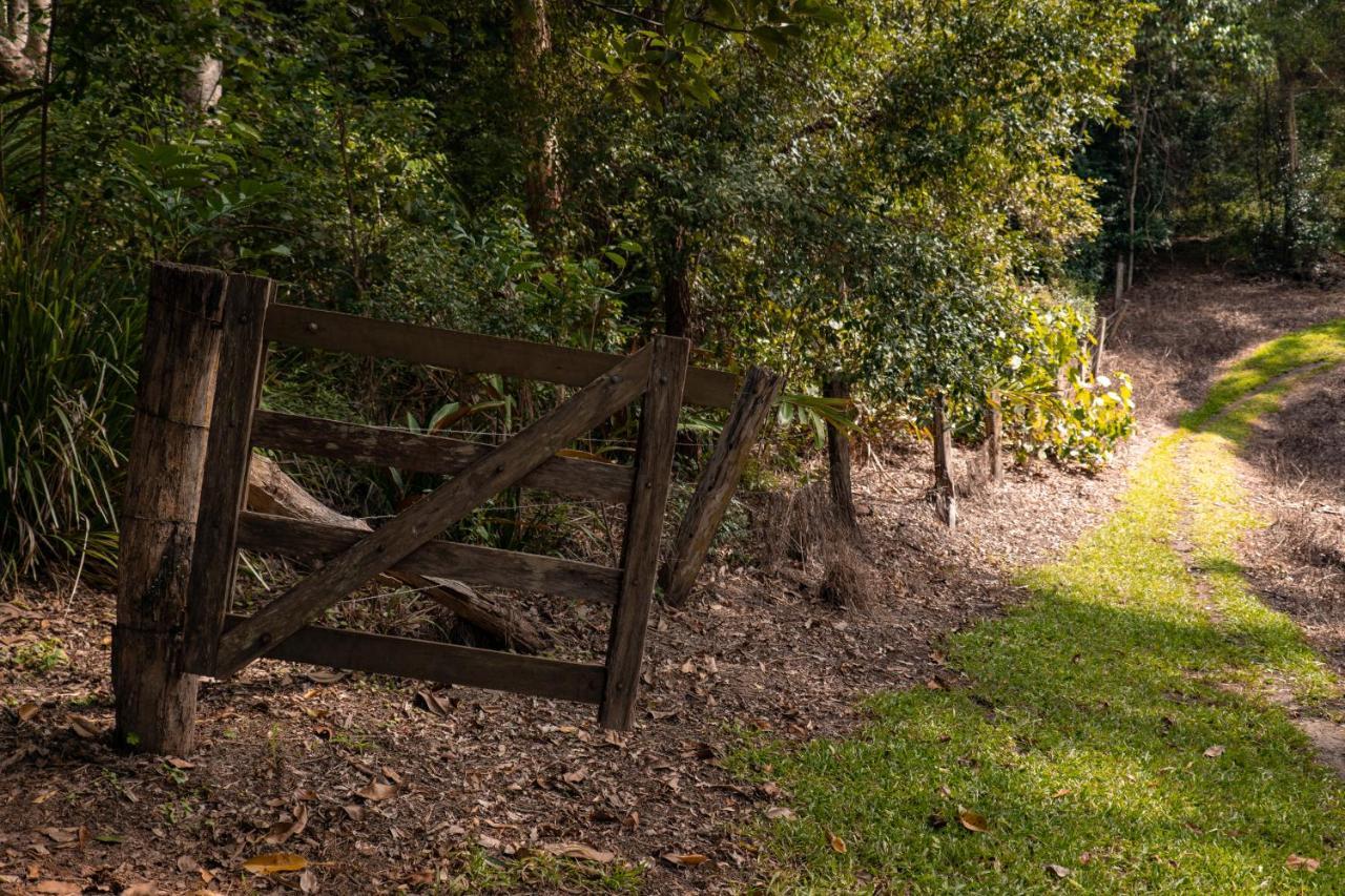 Whispering Valley Cottage Retreat Maleny Exterior foto