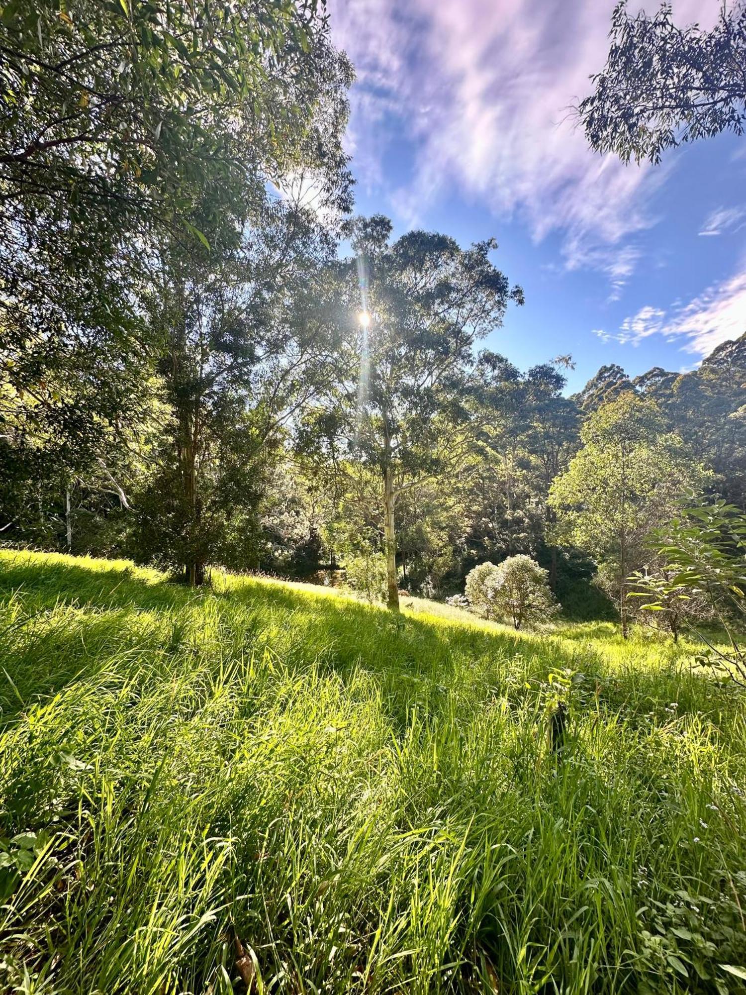 Whispering Valley Cottage Retreat Maleny Exterior foto