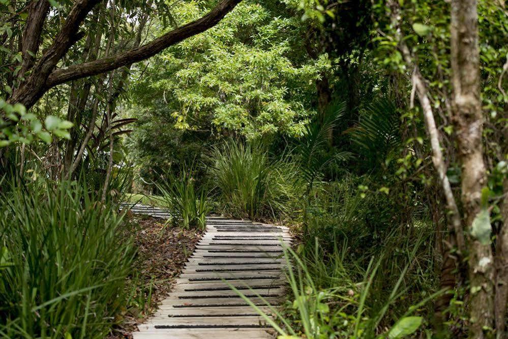 Whispering Valley Cottage Retreat Maleny Exterior foto