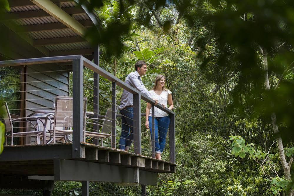Whispering Valley Cottage Retreat Maleny Exterior foto