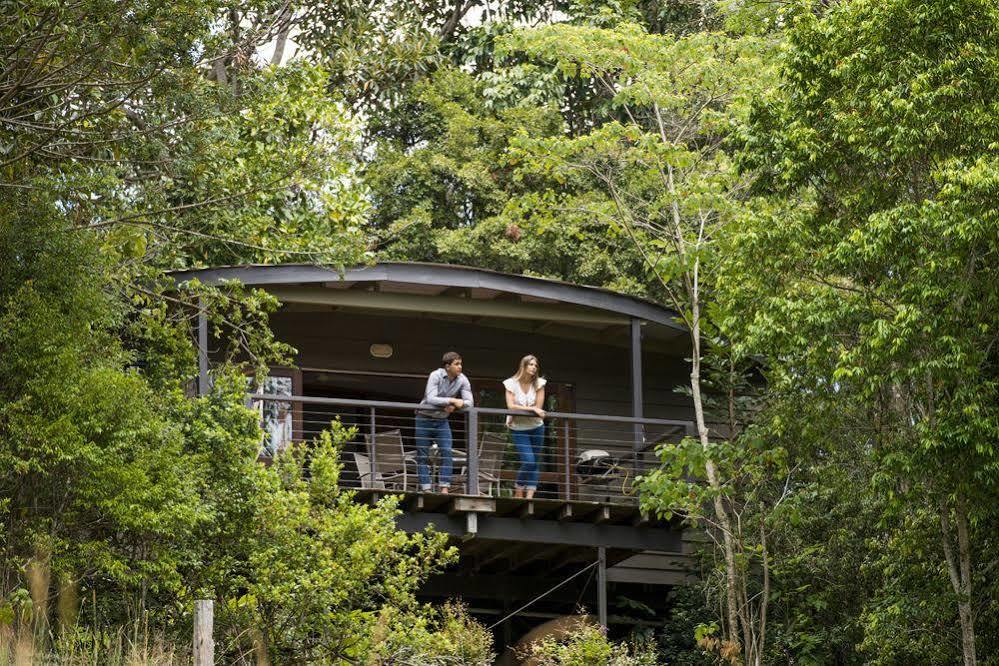 Whispering Valley Cottage Retreat Maleny Exterior foto